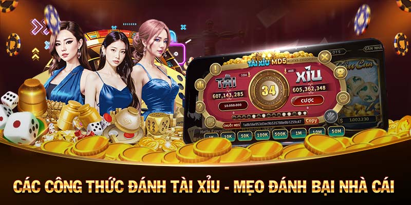 bay vip-Ứng dụng Android／IOS - Sự lựa chọn hàng đầu!